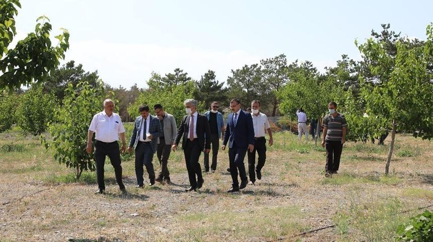 &Uuml;z&uuml;ml&uuml;&rsquo;de dut bah&ccedil;esinde ipek b&ouml;cekciliği yetiştiriciliği yapılacak