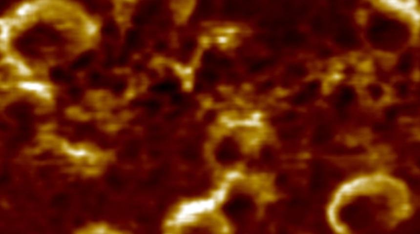 T&uuml;rk bilim insanları başardı! Koronavir&uuml;s &uuml;&ccedil; boyutlu g&ouml;r&uuml;nt&uuml;lendi