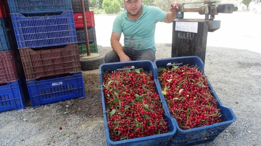 Vişnenin kilo fiyatında 9 yılda 50 kuruş artış oldu