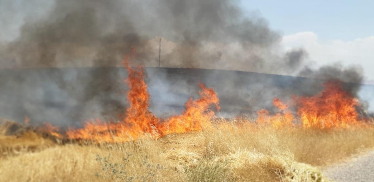 Sigara izmariti yangına neden oldu