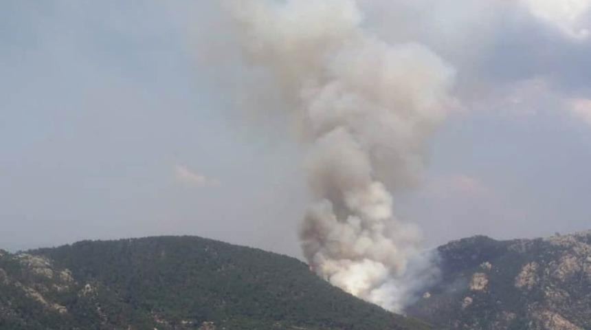 Milas&rsquo;ta orman yangını