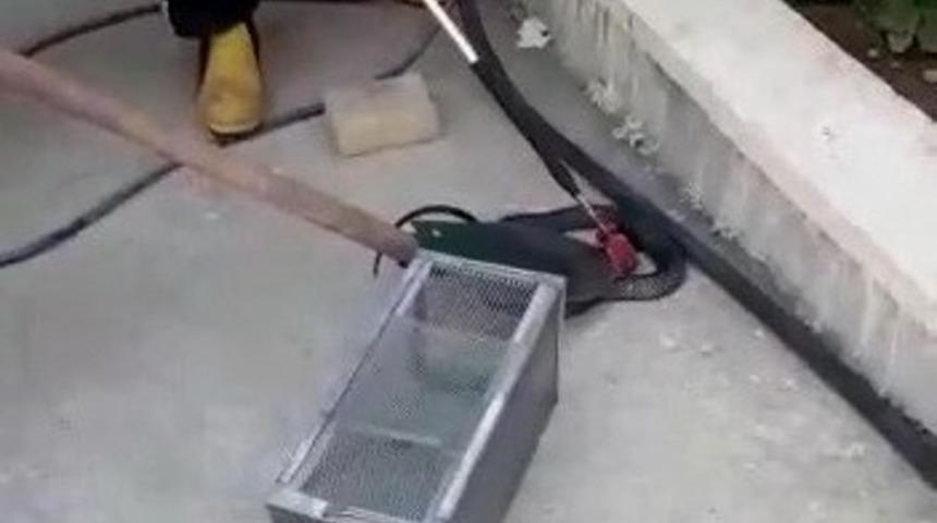 OSB’de ki fabrikada yılan paniği