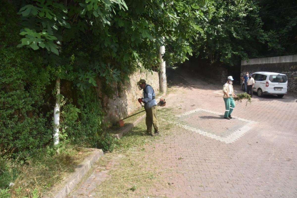 İzmit Belediyesi&rsquo;nden yabani ot mesaisi