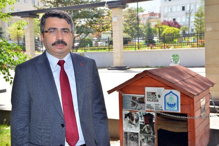 Yıldırım Belediyesi sokak hayvanlarına kucak açıyor G1