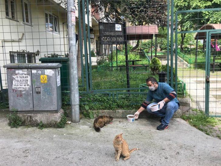 Yıldırım Belediyesi sokak hayvanlarına kucak açıyor G4