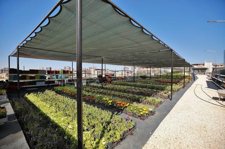 Şehitkamil’den evleri ve bahçeleri güzelleştiren imkan G2