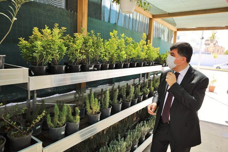 Şehitkamil’den evleri ve bahçeleri güzelleştiren imkan G3