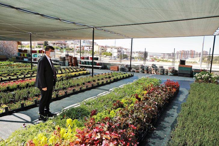 Şehitkamil’den evleri ve bahçeleri güzelleştiren imkan G4