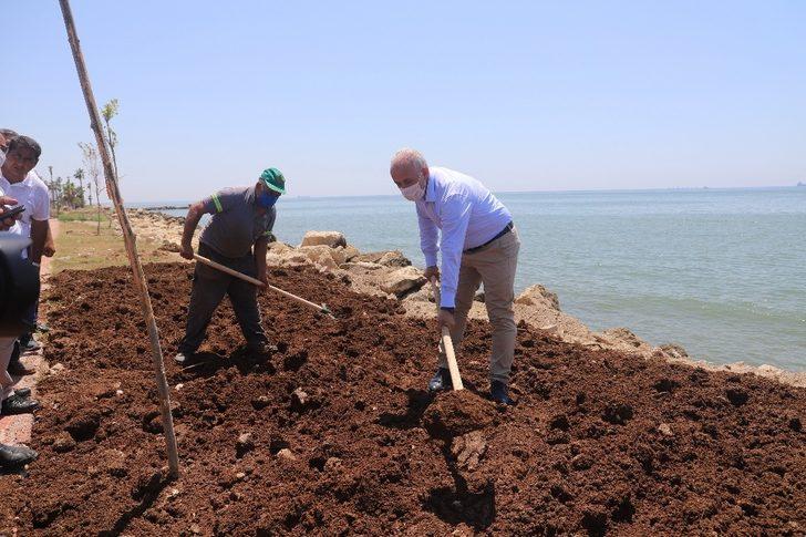 Karaduvar sahili, lazerli plaj eleme-temizleme makinesiyle temizlendi G3