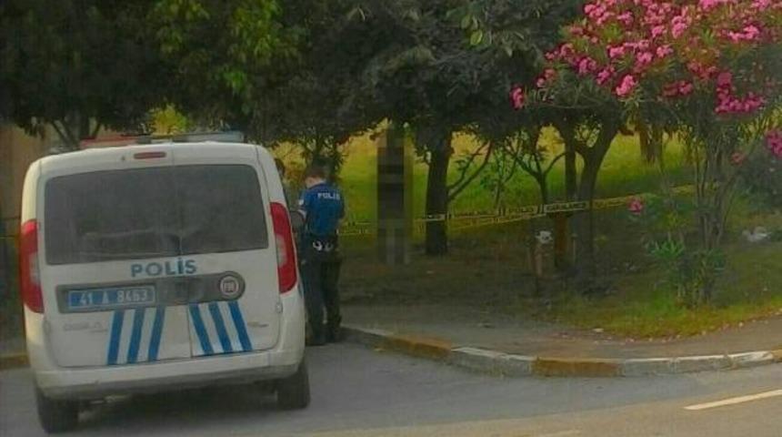 G&ouml;lc&uuml;k'te korkun&ccedil; olay! Kendisini yol kenarındaki ağaca asarak intihar etti