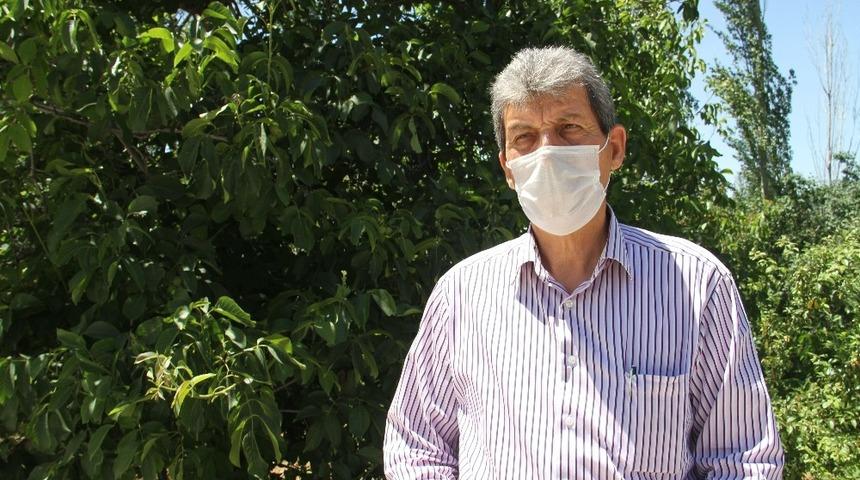 Hüyük, ceviz yetiştiriciliğinde de adını duyurmayı hedefliyor