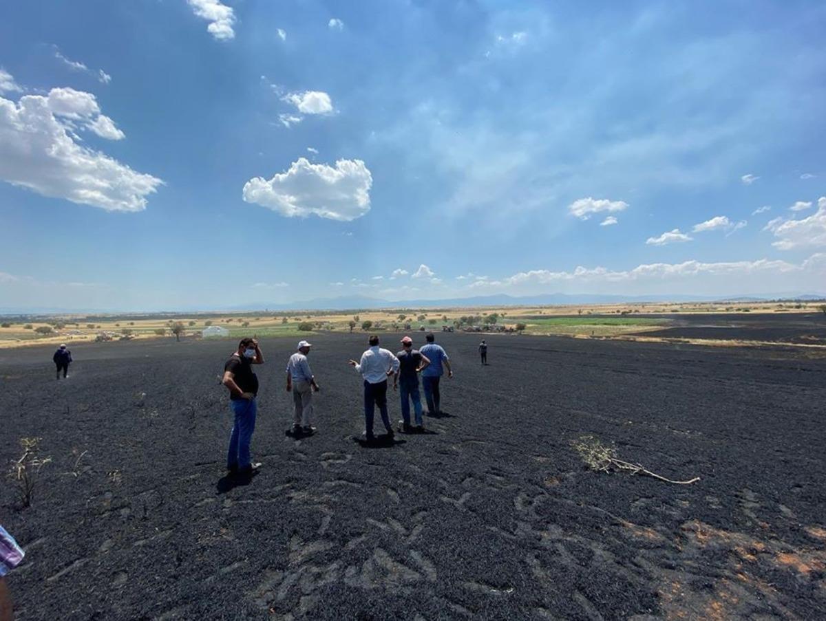 Ekin yangınında mahsuller zarar g&ouml;rd&uuml;