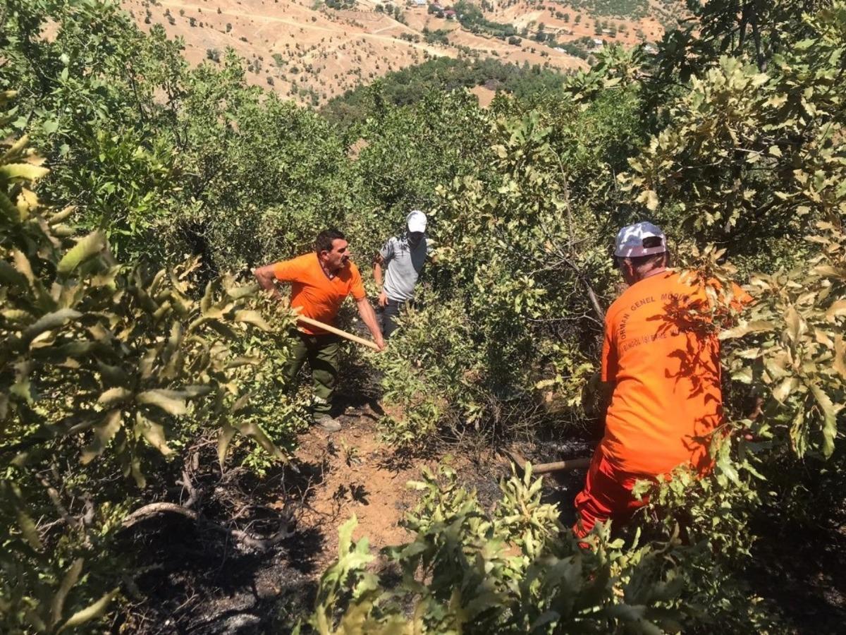 Bing&ouml;l&rsquo;de orman yangını