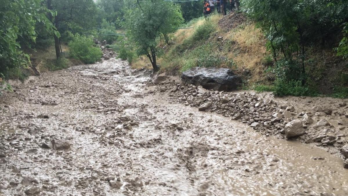 Hakkari&rsquo;de sel