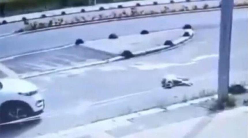 Maltepe'de k&ouml;peğin &ouml;l&uuml;m&uuml; b&uuml;y&uuml;k tepki &ccedil;ekmişti! A&ccedil;ıklama geldi