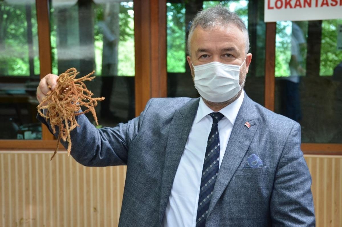 &ldquo;Nebiyan&rdquo; Samsun&rsquo;un parlayan yıldızı