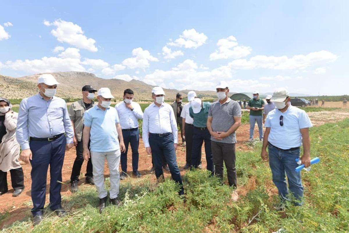 Yeşilyurt Belediyesi&rsquo;nin tarımsal &uuml;retimi beğenildi