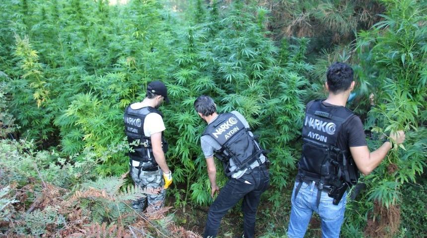 Aydın&rsquo;da uyuşturucu operasyonu, narkotik ekipleri zehirletmedi