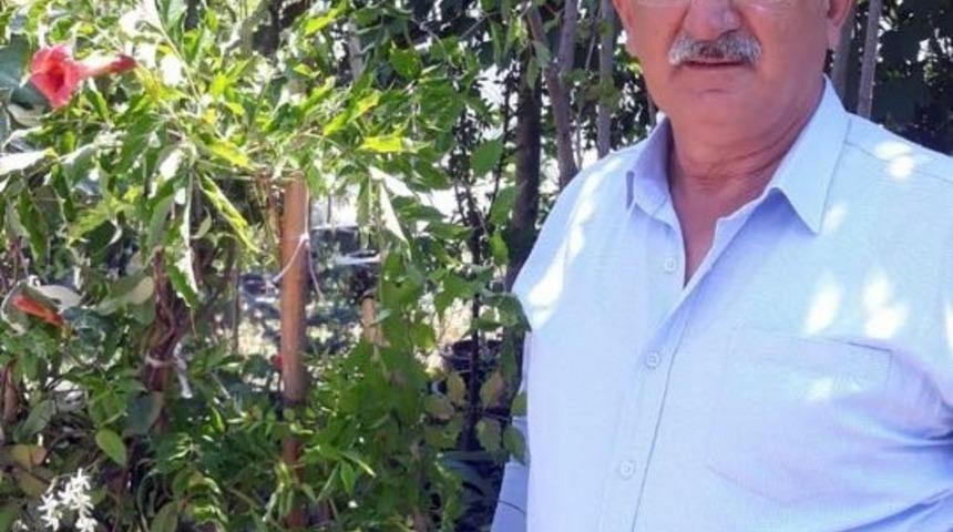 &Ccedil;evre Araştırmacısı Yaşar: &ldquo;Tortum şelalesi ve &ccedil;evresinde 25 odunsu t&uuml;r yaşıyor&rdquo;