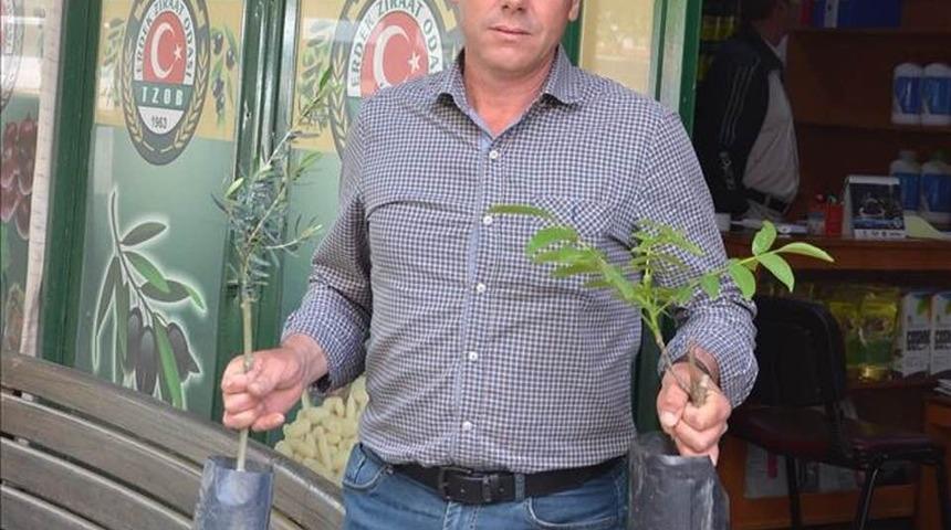 &Uuml;reticilere &ldquo;Zeytin Kelebeği&rdquo; uyarısı