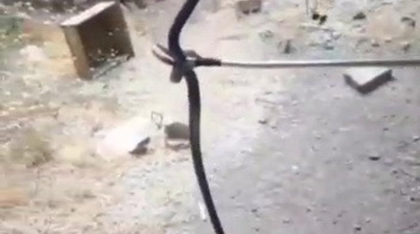 Eve giren yılanı itfaiye ekipleri yakaladı