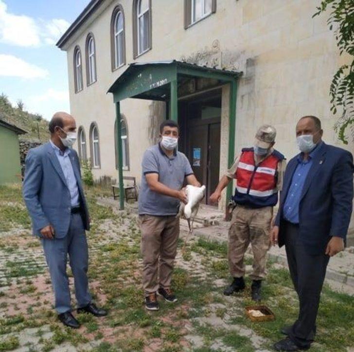Muş’ta yaralı kuşlar tedavi altına alındı G1