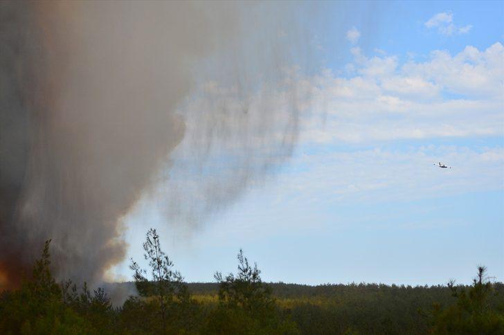 Tarım ve Orman Bakanı Bekir Pakdemirli: " Görünen o ki şu ana kadar 300 hektara yakın bir alanı kaybetmiş gibi gözüküyoruz." G2