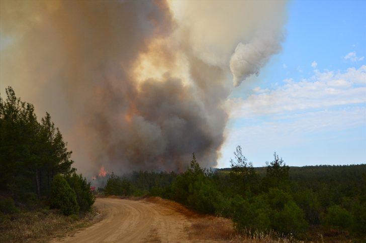 Tarım ve Orman Bakanı Bekir Pakdemirli: " Görünen o ki şu ana kadar 300 hektara yakın bir alanı kaybetmiş gibi gözüküyoruz." G4