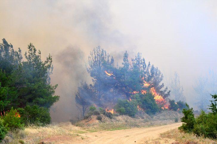 Tarım ve Orman Bakanı Bekir Pakdemirli: " Görünen o ki şu ana kadar 300 hektara yakın bir alanı kaybetmiş gibi gözüküyoruz." G5