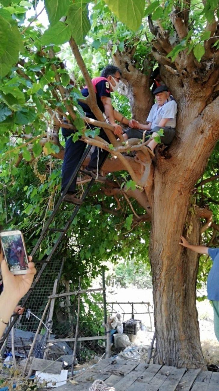 Ağaçta Mahsur Kalan Yaşlı Adamı İtfaiye Kurtardı G4