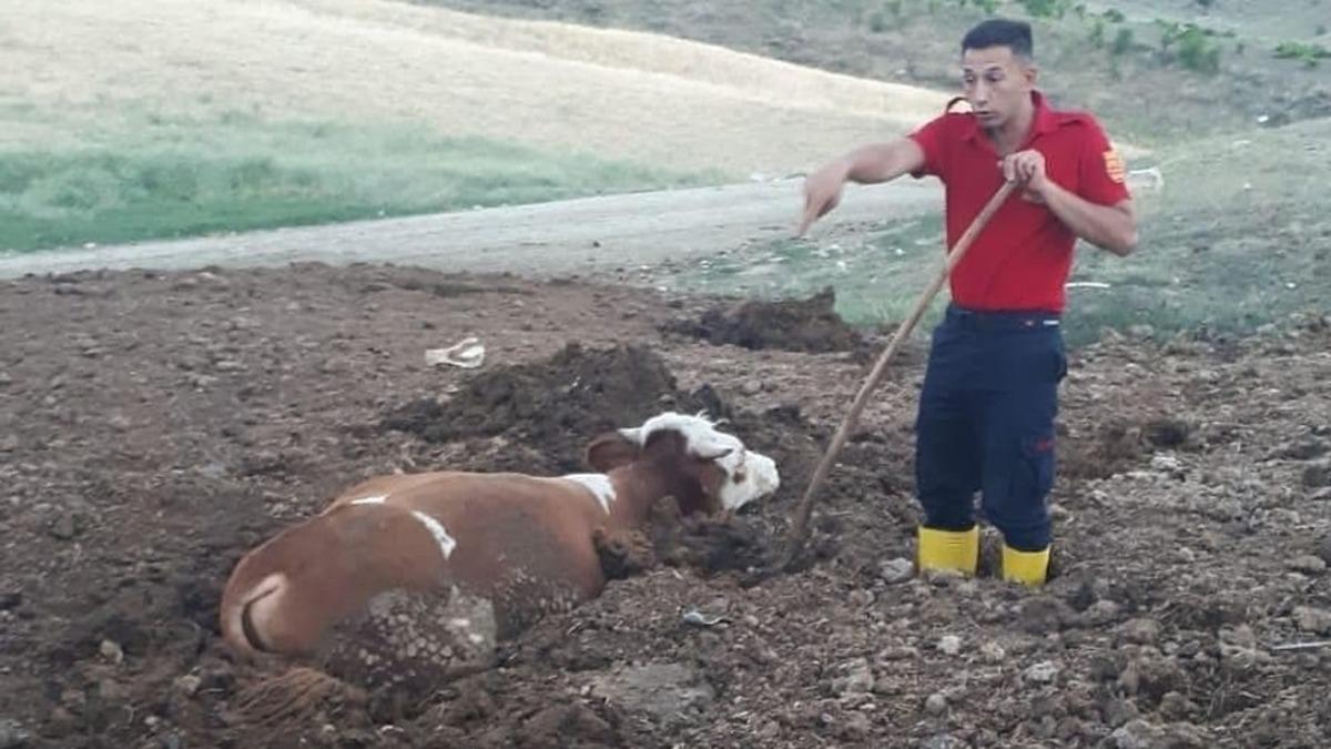 G&uuml;breye saplanan kurbanlık tosunu itfaiye kurtardı