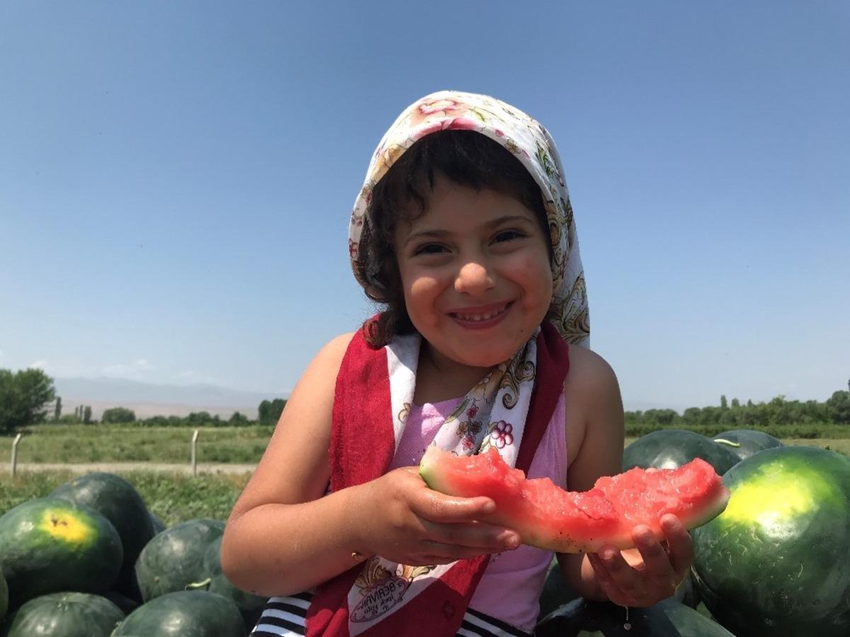 Iğdır&rsquo;da bal k&uuml;p&uuml; hasadı başladı