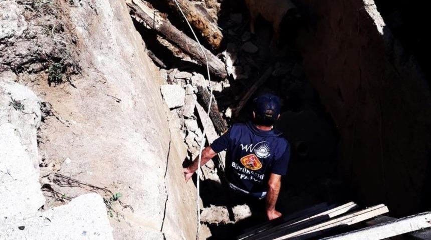 Kuyuda mahsur kalan hayvan kurtarıldı