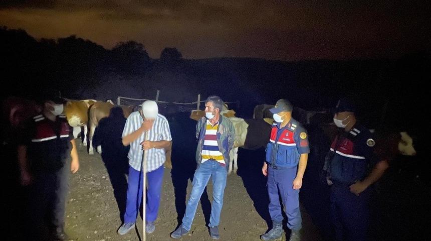 Kaybolan 10 b&uuml;y&uuml;kbaş jandarma tarafından bulundu