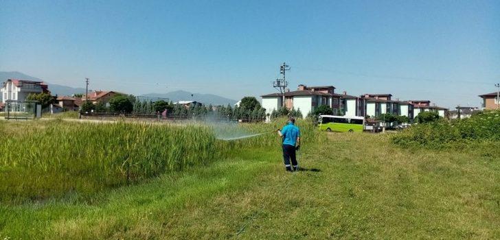 Kartepe’de vektörle mücadele sürüyor G2