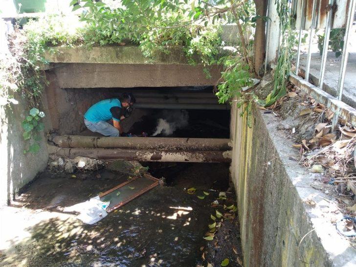 Kartepe’de vektörle mücadele sürüyor G3