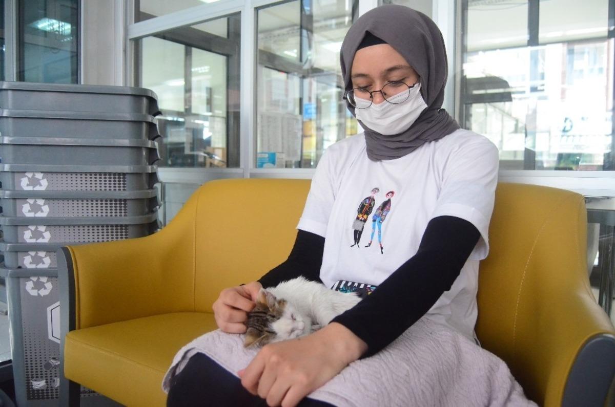 &Ouml;lmek &uuml;zere olan kediyi kurtardı