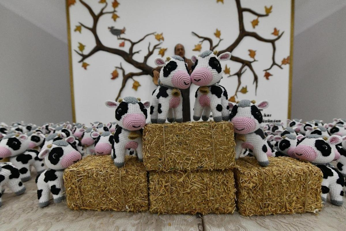 K&uuml;&ccedil;&uuml;k buzağılar kazan&ccedil; kapısı oldu