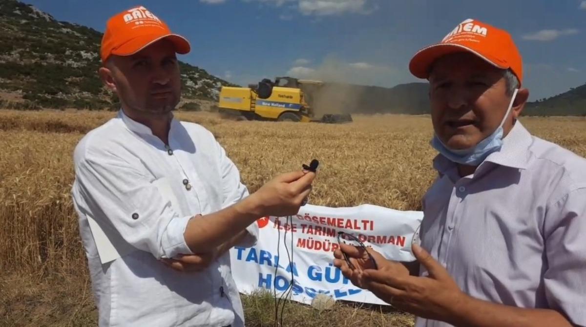 Yerli ve milli buğday &ccedil;eşidi online tarla g&uuml;n&uuml; ile tanıtıldı