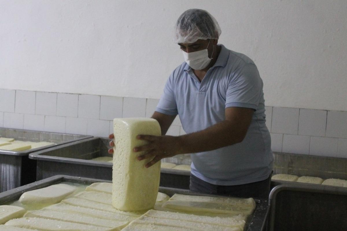 Manyas&rsquo;ta Kelle peynirine coğrafi işaret sevinci