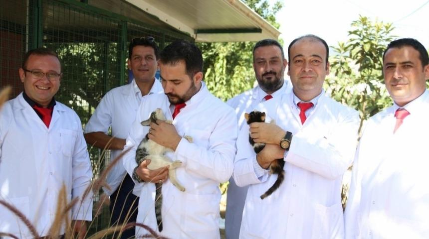 Aydın Veteriner Hekimleri Odası Başkanı Şahin, &ldquo;Hayvan sevgisi şifadır&rdquo;