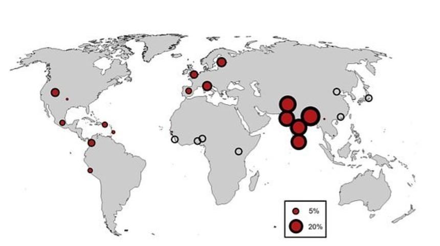 Koronanın genetik şifresi: 28 bin yıllık miras