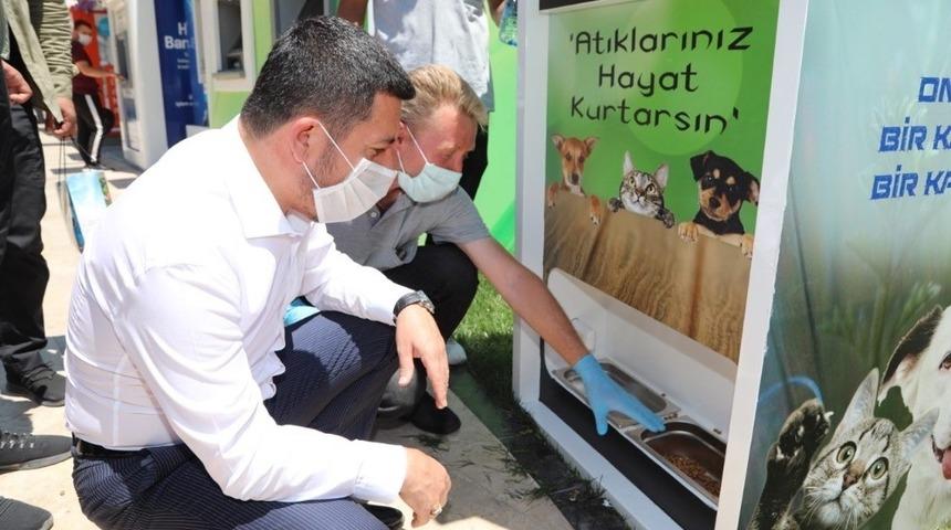 Sokak hayvanlarını besleyen geri d&ouml;n&uuml;ş&uuml;m otomatı