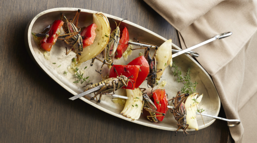 Çekirge istilasına uzmanlardan çözüm: Kebap yapın