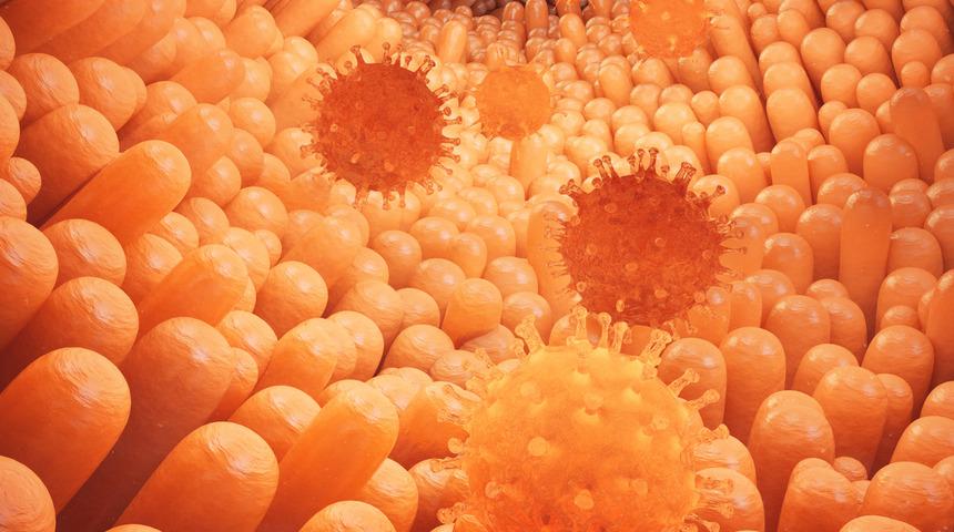 Dizanteri: Nedenleri, belirtileri, tedavisi