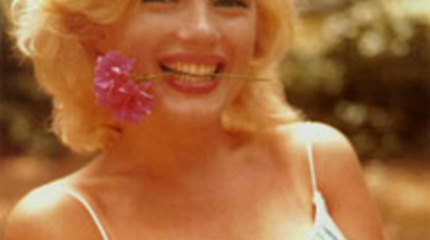 Ayın Şanslı Burcu İkizler