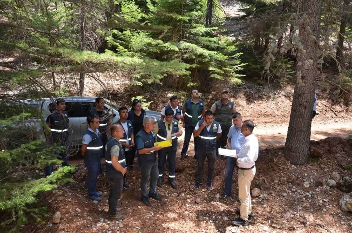 Akduman, G&uuml;lnar&rsquo;daki orman faaliyetlerini inceledi