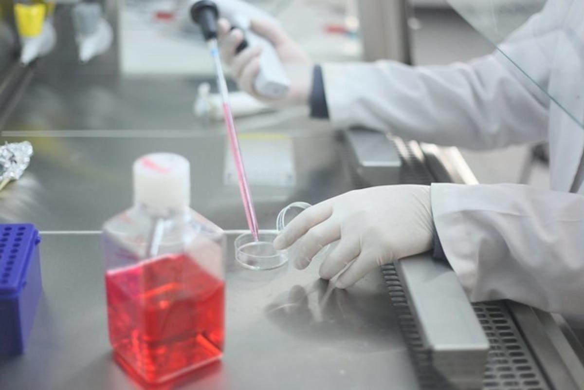 Tıp eğitimine uluslararası destek