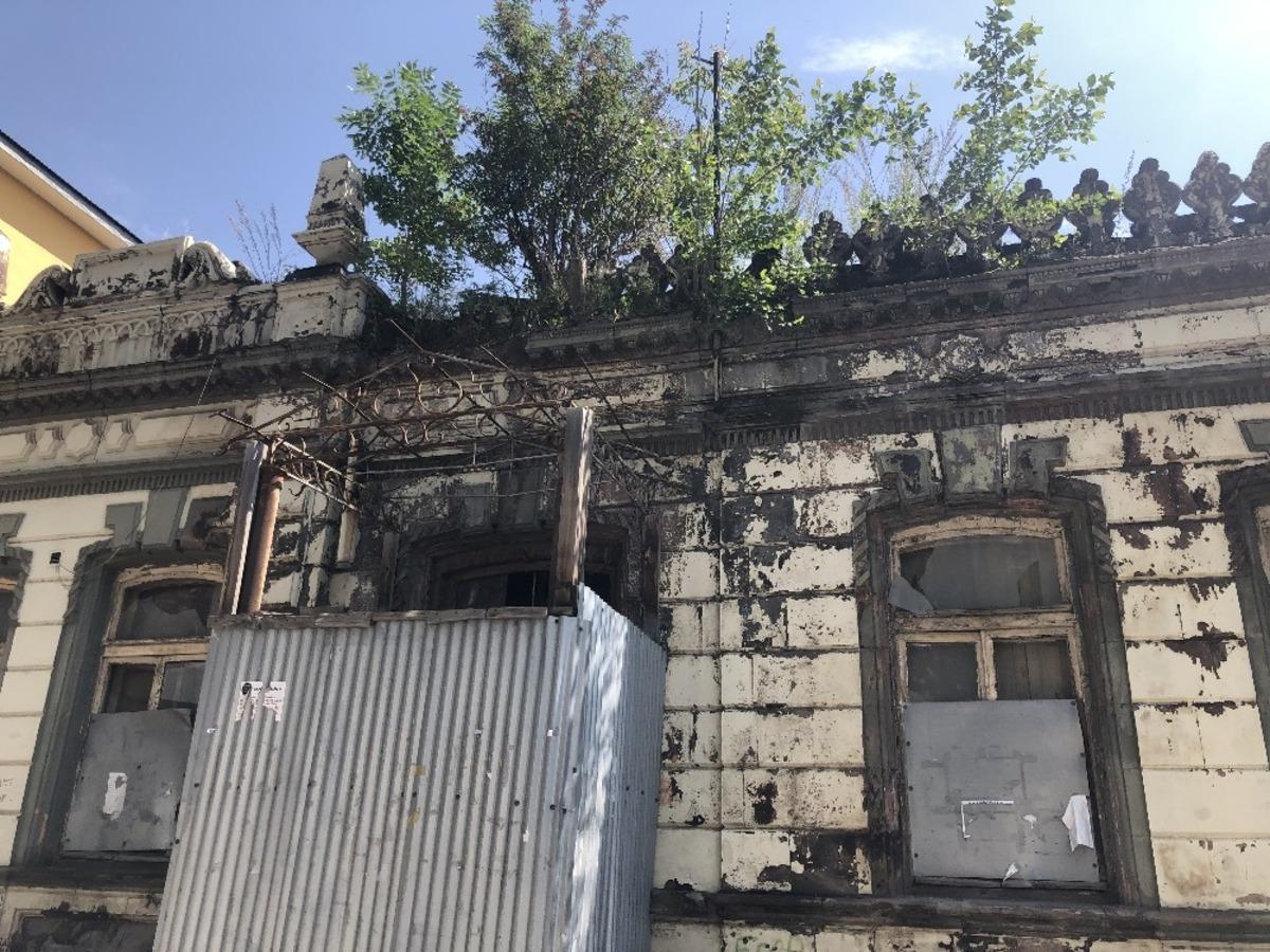 Kars&rsquo;ta tarihi binanın &uuml;zerinde ağa&ccedil; yetişti