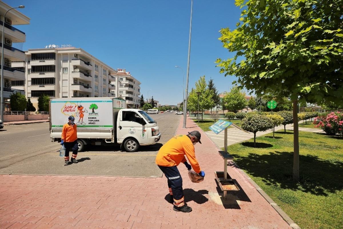 Sokak hayvanlarına su ve yiyecek desteği